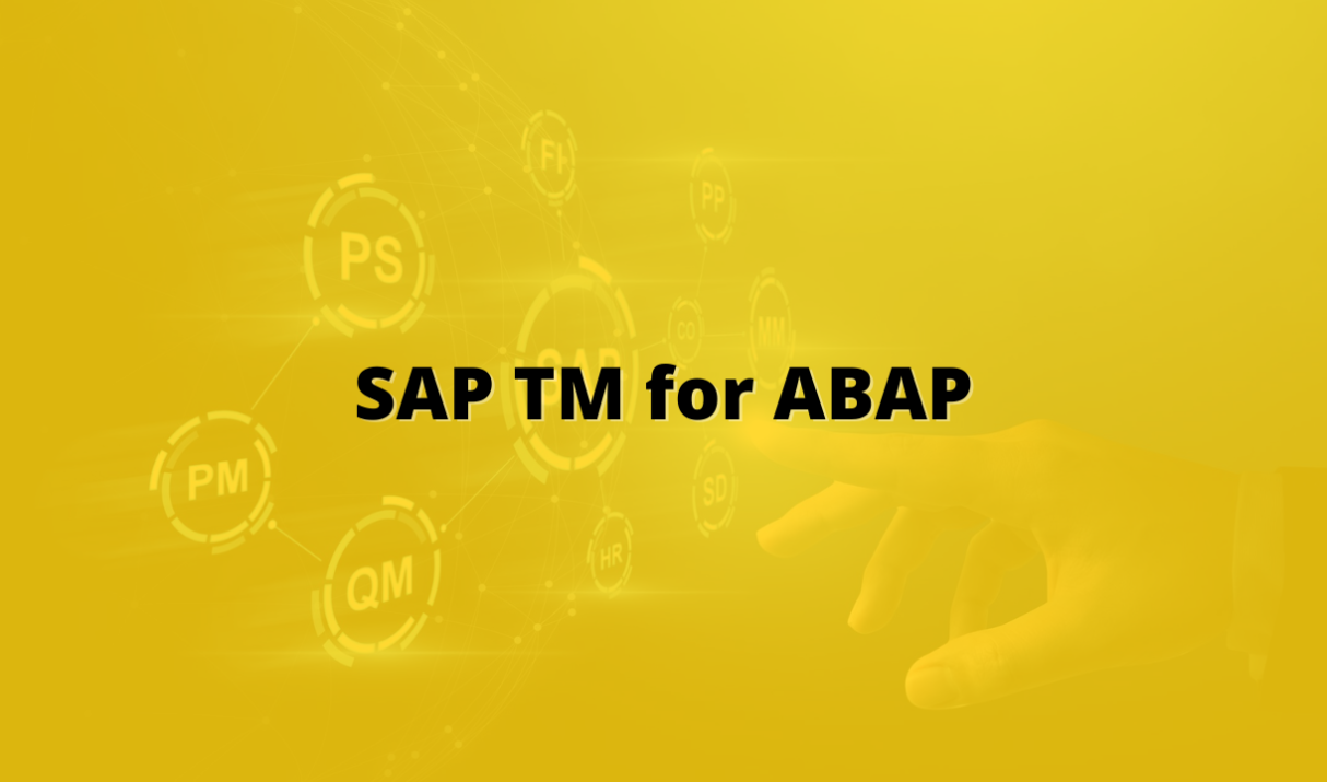 SAP TM Technical Bites For Abap