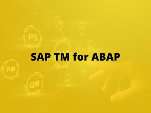 SAP TM Technical Bites For Abap