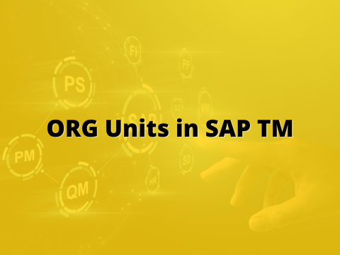 How To Create Org Units in SAP TM (Transportation Management)